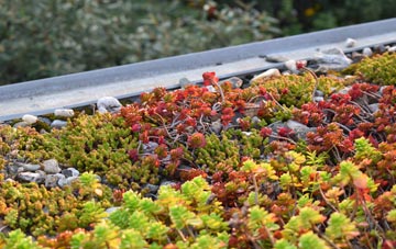the cost of Thornielee green roof installation